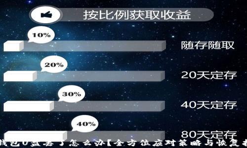 
冷钱包U盘丢了怎么办？全方位应对策略与恢复指南