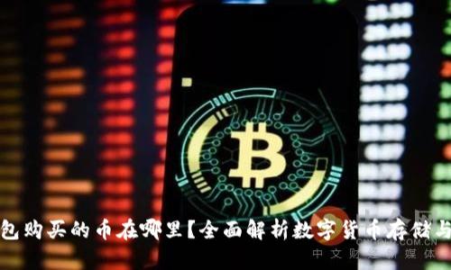 TP钱包购买的币在哪里？全面解析数字货币存储与管理