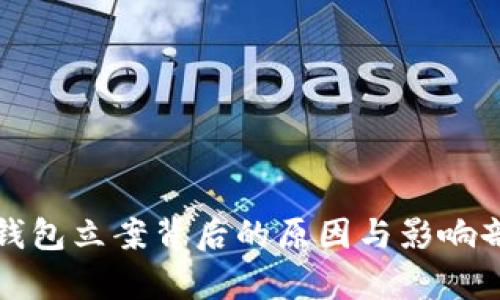TP钱包立案背后的原因与影响剖析