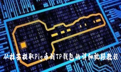 从抹茶提取Pig币到TP钱包的详细视频教程