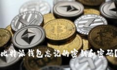 如何找回比特派钱包忘记