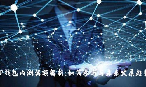 TP钱包内测满额解析：如何参与与未来发展趋势