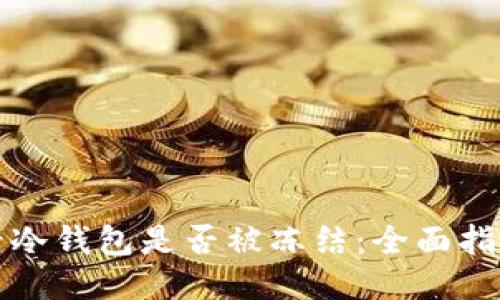 如何查看冷钱包是否被冻结：全面指南与技巧