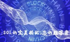 探索TP钱包：SOL的完美搭配，您的数字资产安全之