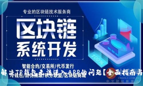 如何解决TP钱包无法进入APP的问题？全面指南与技巧