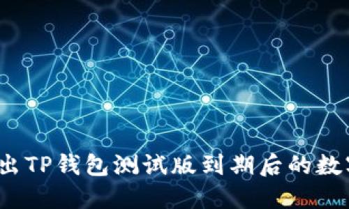 如何导出TP钱包测试版到期后的数字资产？