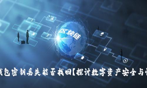 TP钱包密钥丢失能否找回？探讨数字资产安全与恢复