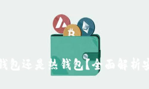 ViaWallet 是冷钱包还是热钱包？全面解析安全性与使用体验