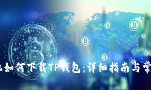 苹果13手机如何下载TP钱包：详细指南与常见问题解答