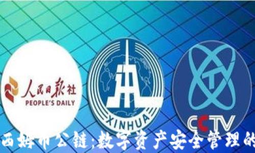 
冷钱包与西姆币公链：数字资产安全管理的最佳实践