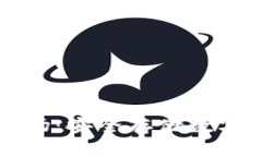 中关村冷钱包市场：安全