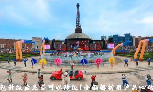 
TP钱包升级后是否可以降级？全面解析用户关心的问题