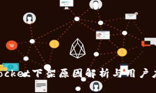 TokenPocket下架原因解析与用户应对指南