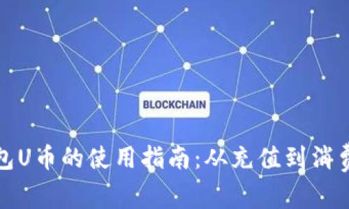 TP钱包U币的使用指南：从充值到消费详解