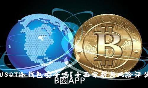 USDT冷钱包安全吗？全面分析与风险评估